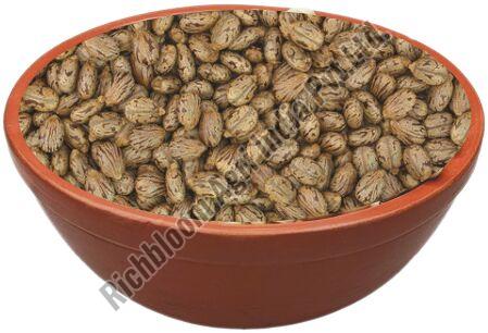 Field Crops