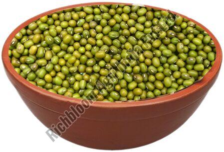 Richbloom Green Gram Seeds
