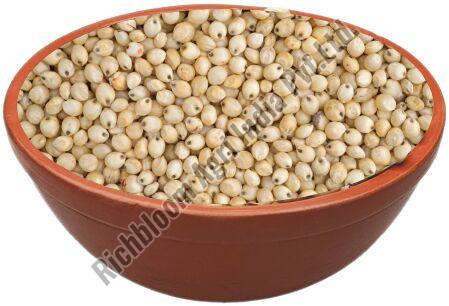 RichBloom Sorghum Seeds