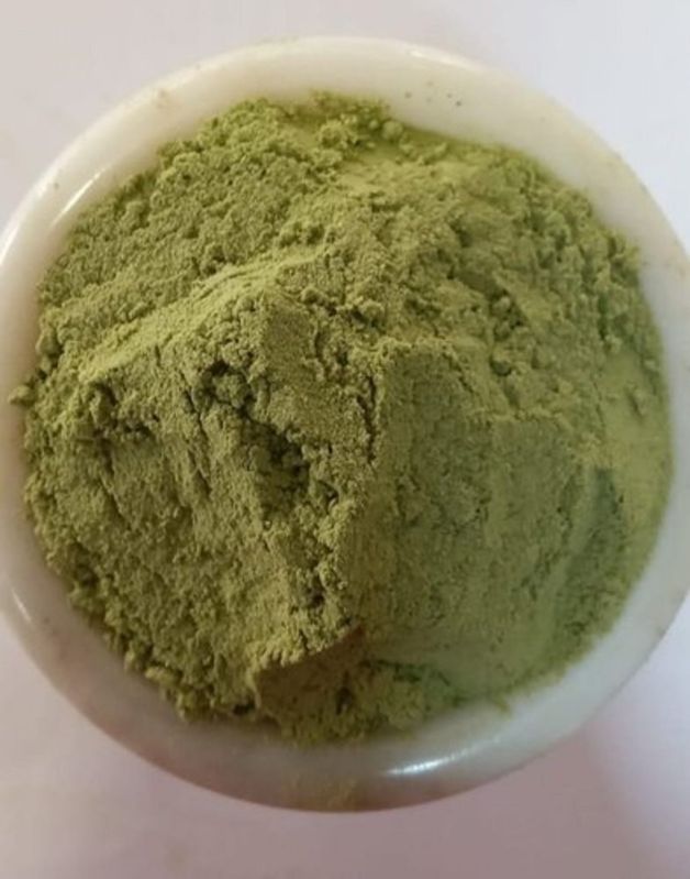 Belgiri Leaf Powder