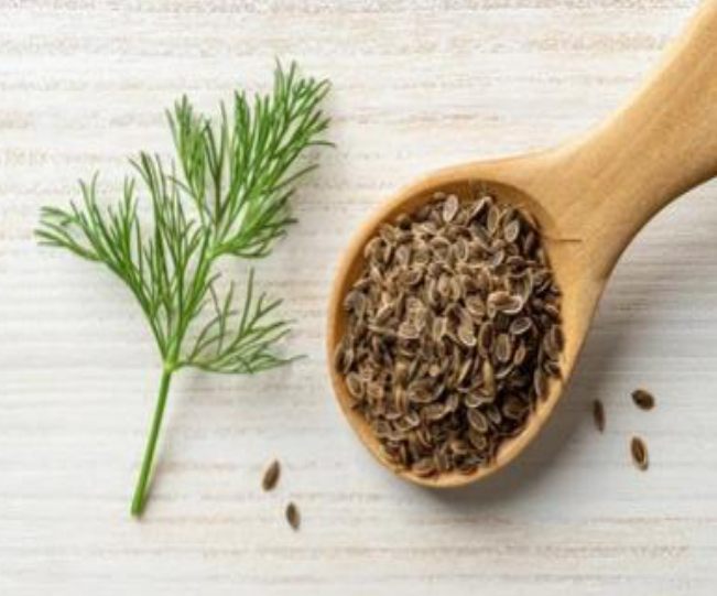 Organic Dill Seeds