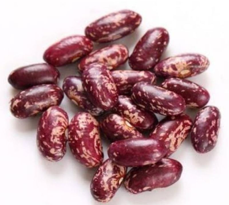 Organic Kashmiri Kidney Beans