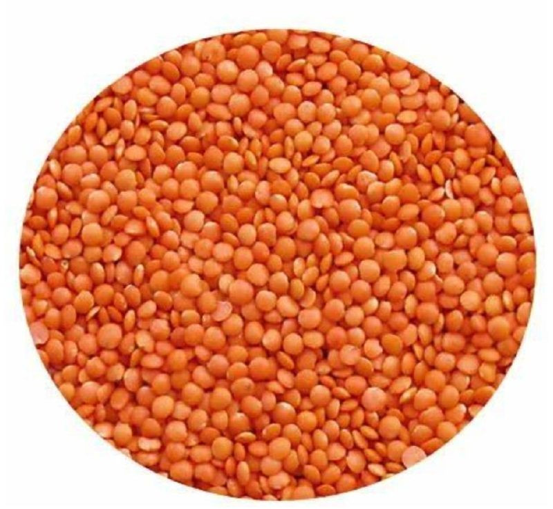 Organic Red Lentils