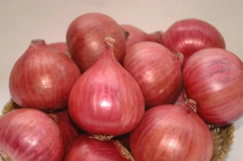 Nashik Red Research Onion Seeds