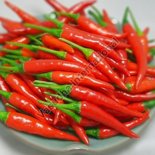 Fresh Red Chilli