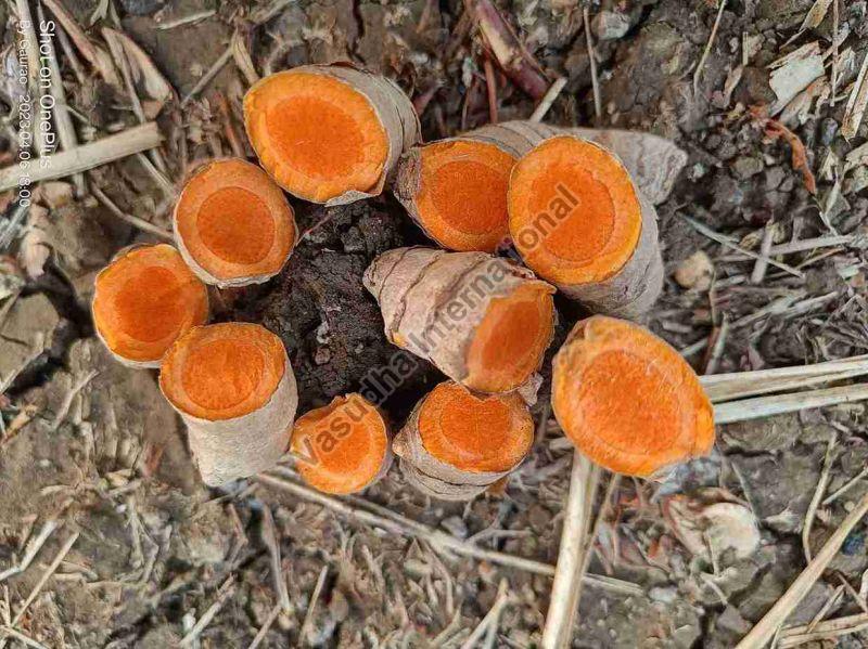 Raw Turmeric Finger