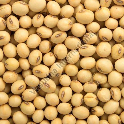 Soybean Seeds