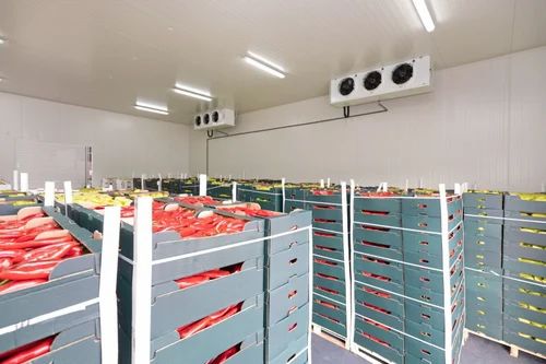 Industrial Cold Storage System