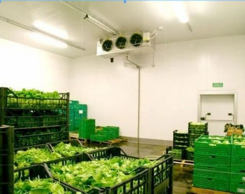 Vegetable Cold Storage System