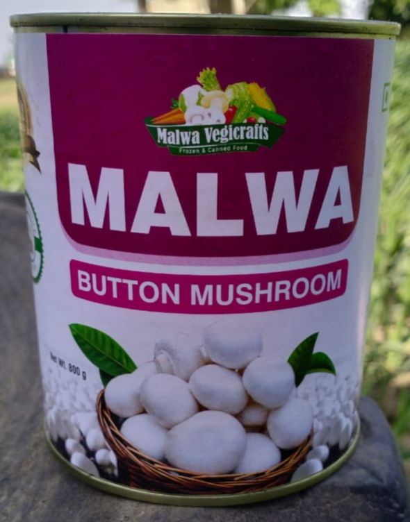 Canned Mushroom