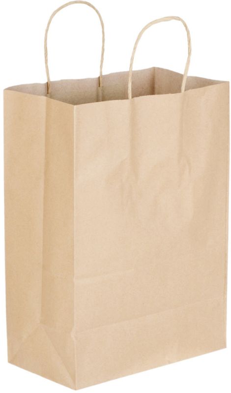 Plain Paper Carry Bag