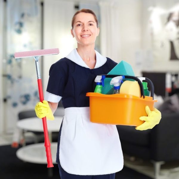 Household Maid Services