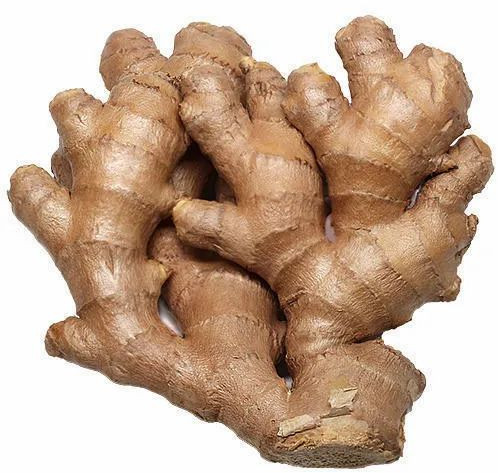 Fresh Ginger