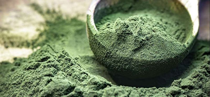 Dry Spirulina Powder