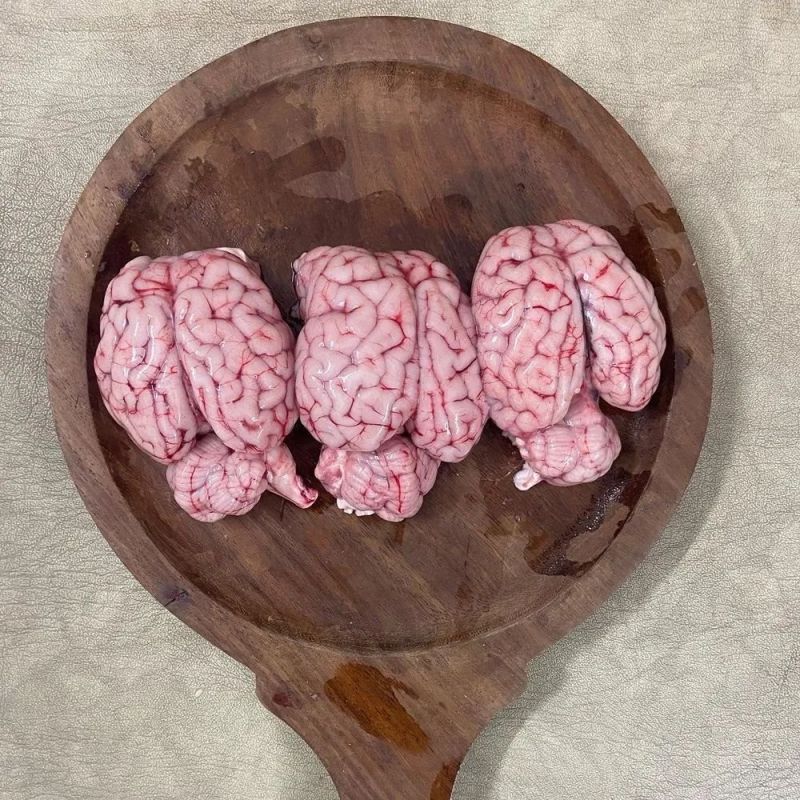 Fresh Goat Brain Meat