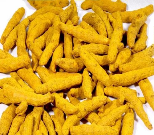 Waigaon Dried Turmeric Finger