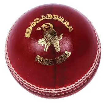 Leather Cricket Ball