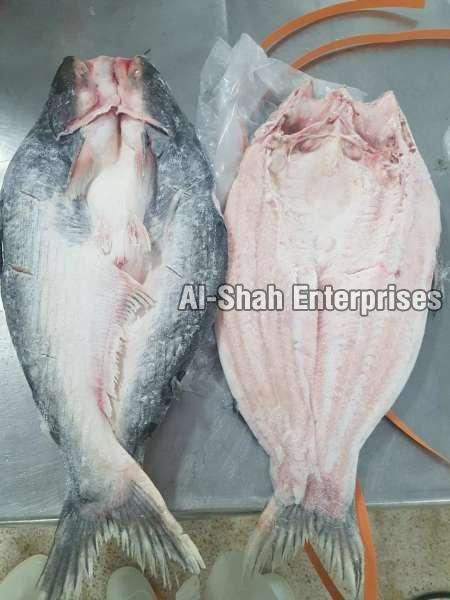 Fresh Vietnam Basa Fish