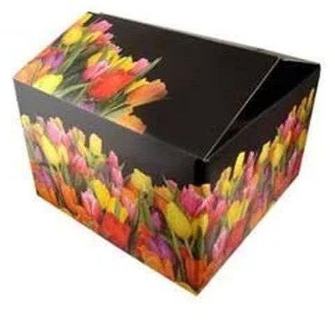 Multi Color Duplex Corrugated Box