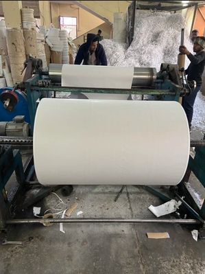 Poly Coated Paper