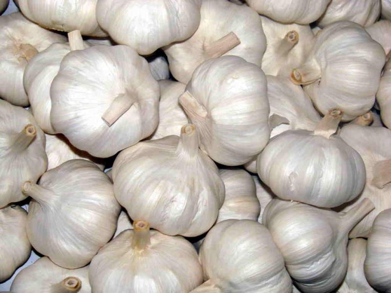 A Grade Garlic