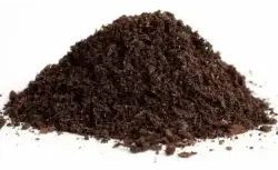 Cow Dung Powder