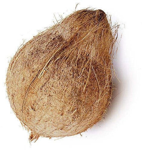 Coconuts