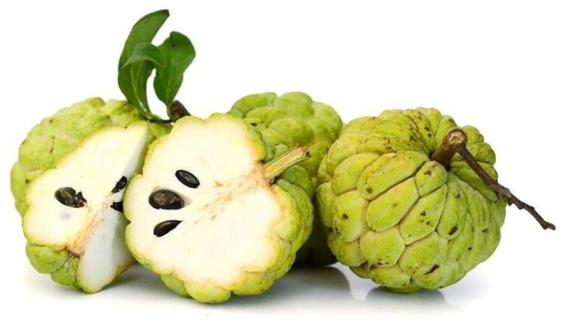 Fresh Custard Apple