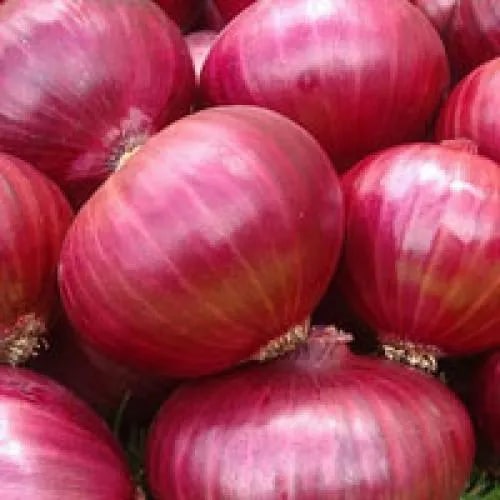 Fresh Red Onion