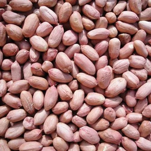 Java Groundnut Seeds