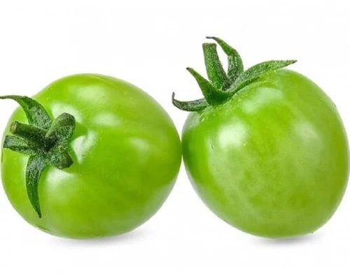 Indian Fresh Green Tomato