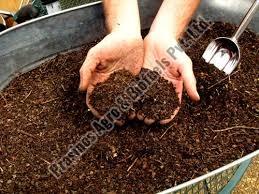 Fermented Organic Manure