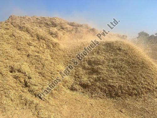 Rice Straw for Cattle Feed