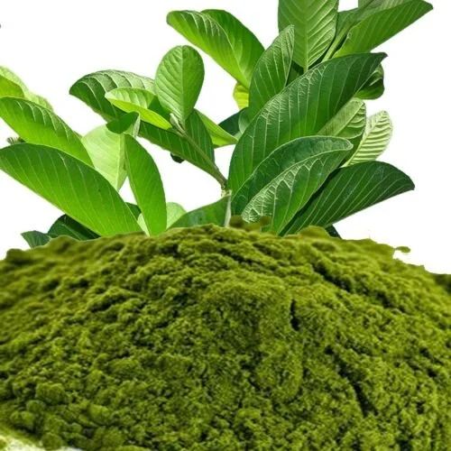 Guava Leaf Powder