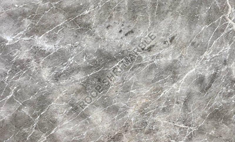 Fossil Grey Marble Slab