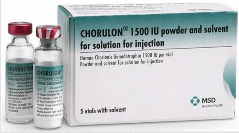 CHORULON - 1500 .IU. 5ML