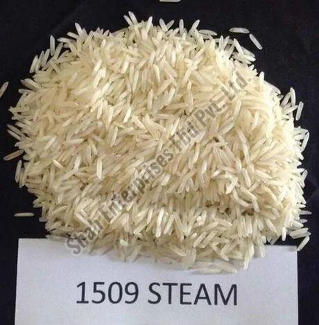 1509 Steam Sella Basmati  Rice