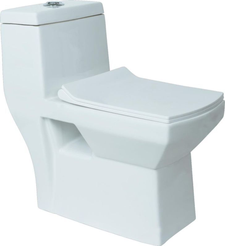 Combo One Piece Water Closet