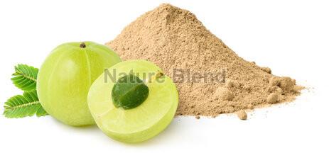 Amla Herbal Powder