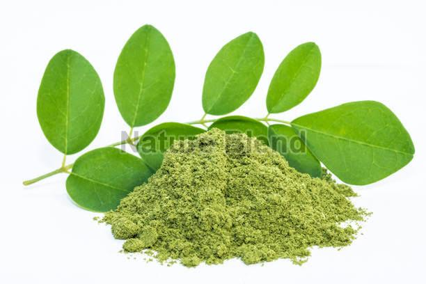 Moringa Leaf Powder