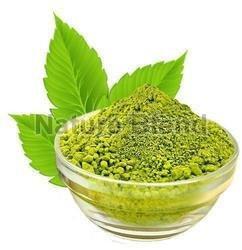 Tulsi Leaf Powder