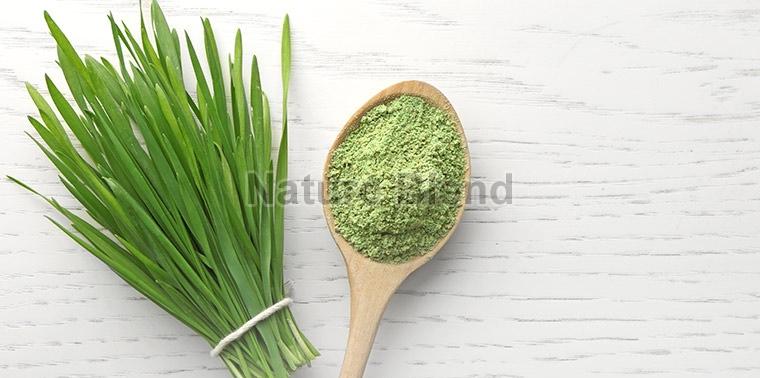 Wheat Grass Powder