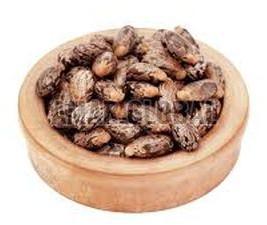 Natural Castor Seeds