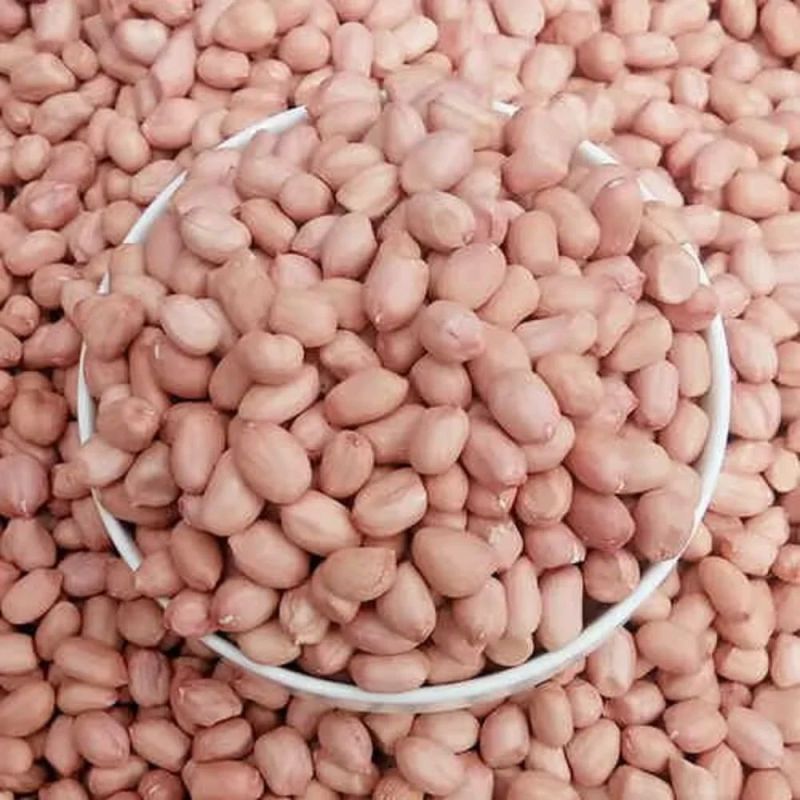 Java Peanuts