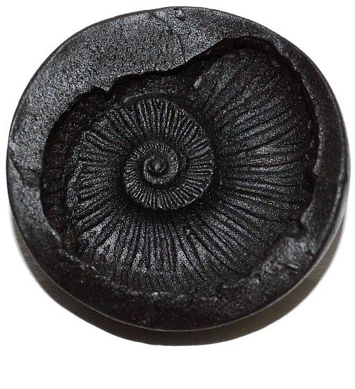 Sacred Adwaita Laxmi Surya Sudarshan Shaligram