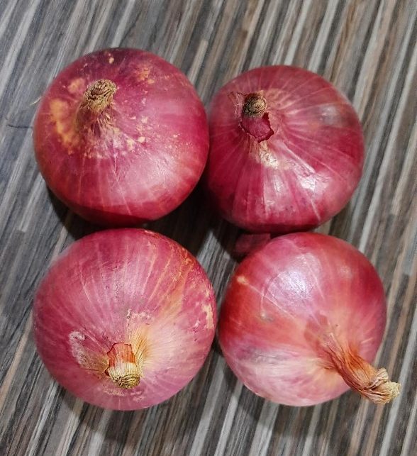 Vakratund Fursungi Research Onion Seeds