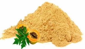 Papaya Powder