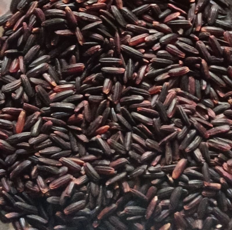 Black Rice