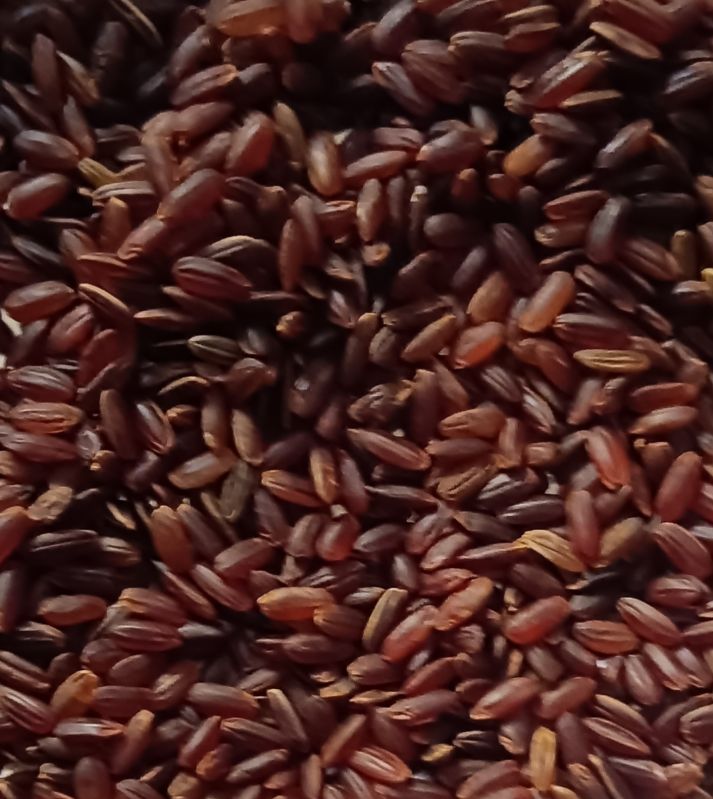 Red Rice