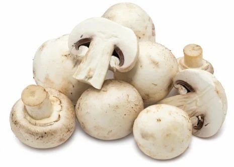 Fresh Mushrooms